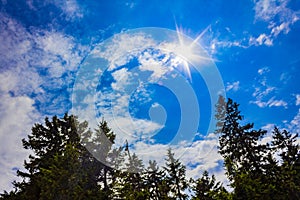 Sunshine above forest fir trees and clouds Brocken Harz Germany