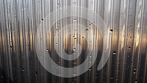 sunshine on the back wall