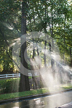 Sunshine Backlights Water From Sprinkers To Form Perfect Sunbeam