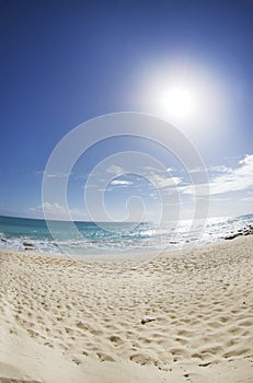 Sunshine at the Beach