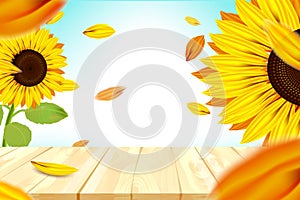 Sunshine and bokeh with yellow sunflower and blue sky background