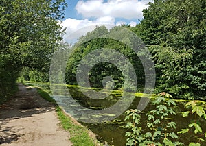 Sunshine Canal Towpath