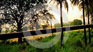 Sunshine after darkness