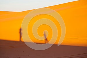 sunshine in desert of morocco sand and dune