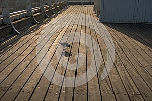 Sunshine in the evening at Cromer, Norfolk