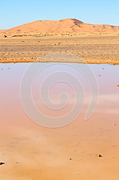 sunshine in the lake morocco sand and dune