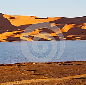 sunshine in the lake yellow desert of morocco sand and dune