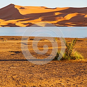 sunshine in the lake yellow desert of morocco sand and dune