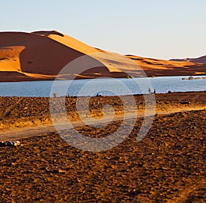 sunshine in the lake yellow desert of morocco sand and dune