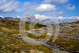 Sunshine Meadows, Banf National park