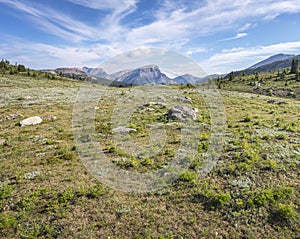 Sunshine Meadows Landscape at Mount Assiniboine