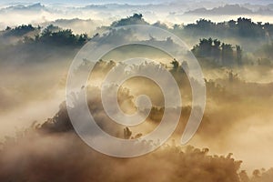 Sunshine on the morning mist with bamboo and hill