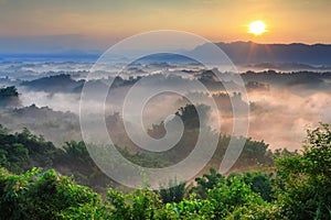 Sunshine with mountain , cloud and tree