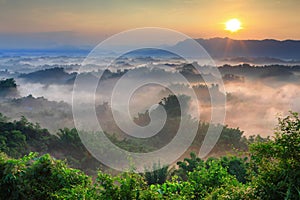 Sunshine with mountain , cloud and tree