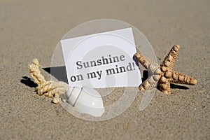 SUNSHINE ON MY MIND text on paper greeting card on background of starfish seashell summer vacation decor. Sandy beach