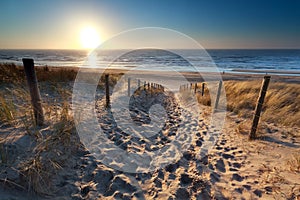 Sunshine over path to beach in North sea