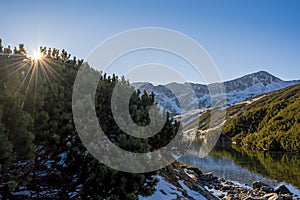 Sunshine over pine trees and a mountain lake