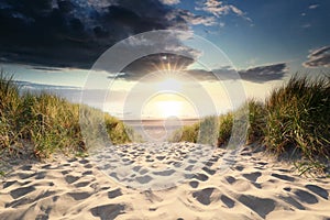 Sunshine over sand path to sea beach