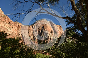 Sunshine on the Peaks at Zion