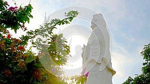 Sunshine rays on the white statue