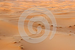 Sunshine on sand dune in desert