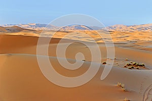 Sunshine on sand dune in desert