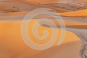 Sunshine on sand dune in desert