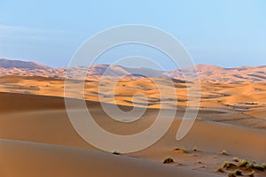 Sunshine on sand dune in desert