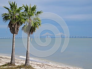 Sunshine Skyway Bridge crossing Tampa Bay in Florida with palm trees, Florida, USA