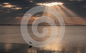 Sunshine skyway Bridge at Dawn