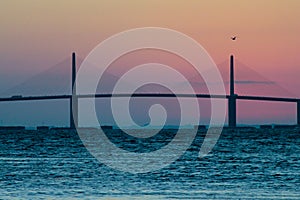 Sunshine Skyway Bridge at Sunrise with bird