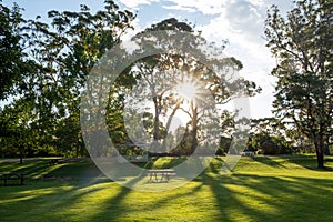 Sunshine through trees with picnic table.