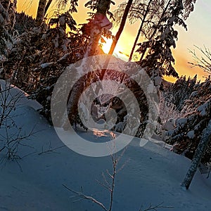 Sunshine of winter time of Finlandia photo