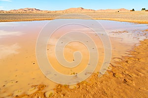 sunshine in yellow desert morocco sand and dune