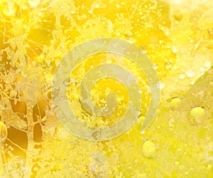 Sunshine Yellow Floral Background