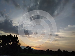 Sunshines best sunshines