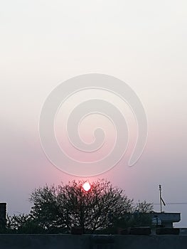 Sunsight sunshine sun sky suntree afternoon goodbyesun