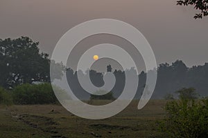 Sunsrise at Bandhavgarh Tiger reserve