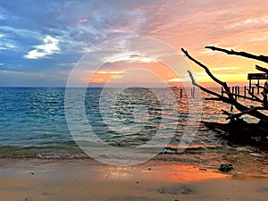 Sunsrise and logs on the beach