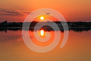 Sunsrise on the Zambezi river