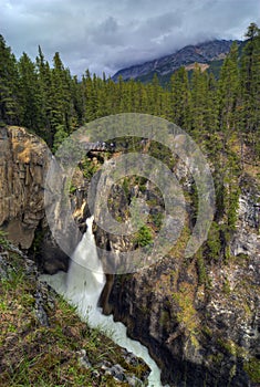 Sunwapta Falls photo