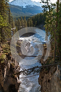 Sunwapta Falls