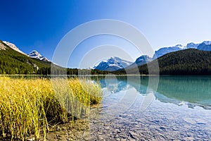 Sunwapta Lake, Jasper National Park in Alberta, Canada photo
