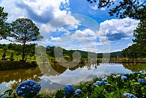 Suoi Vang Lake - DaLat