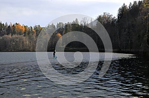 Sup, stand up paddle, on Bled Lake, Slovenia, Europe. Man rowing on the lake in autumn