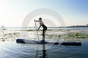 SUP Stand up paddle board woman paddle boarding