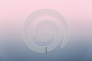 SUP Surfing,View From Above: Lonely Man Is Training On Sup Board On A Large Lake During Pinky Sunset. Surfer.Man In Red Jacket St