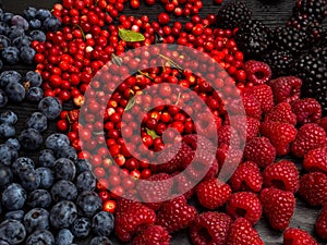 super antioxidants. superfood. mix of fresh berries, rich with resveratrol, vitamins, raw food ingredients. nutrition background,