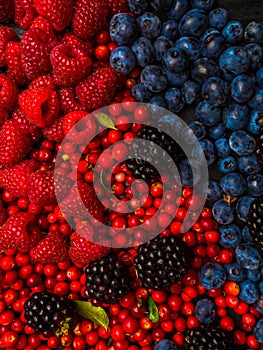 super antioxidants. superfood. mix of fresh berries, rich with resveratrol, vitamins, raw food ingredients. nutrition background,