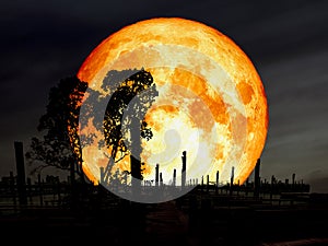 super blue blood moon over abandon pier silhouette tree